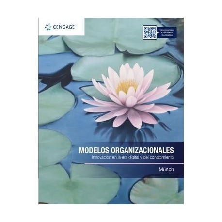 MODELOS ORGANIZACIONALES